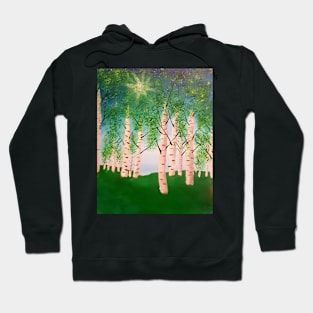 Birch Grove on a sunny day Hoodie